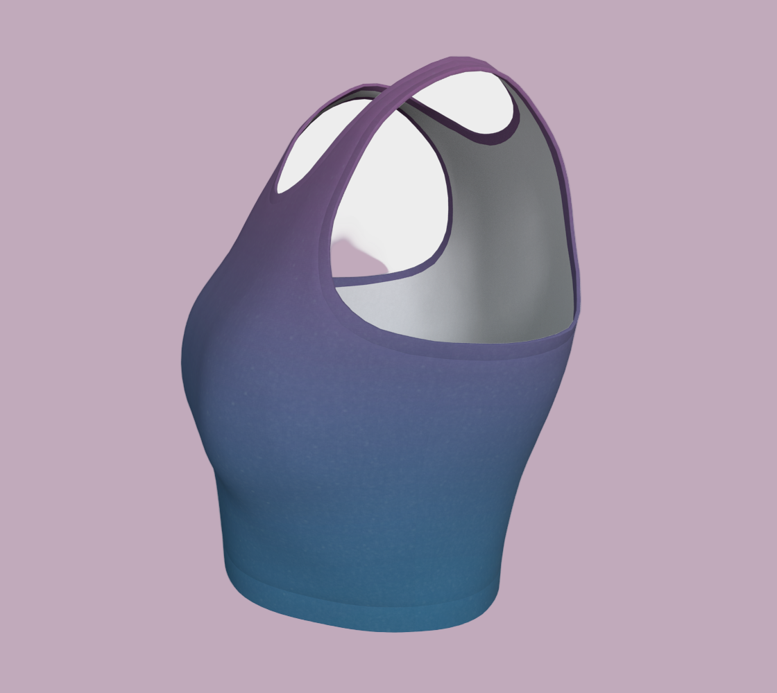 Blue and purple crop top